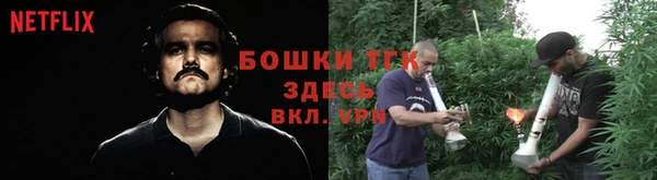 гашик Алексеевка