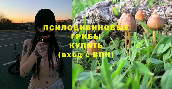 трава Абаза