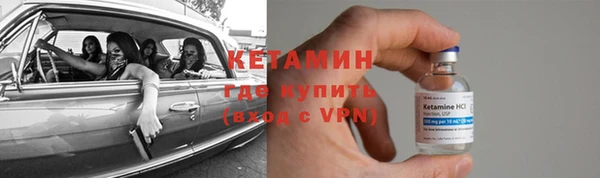 трава Абаза