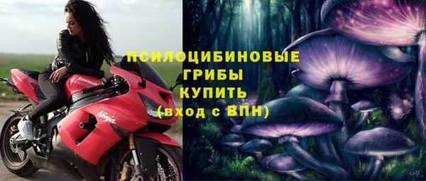 прущие грибы Алзамай